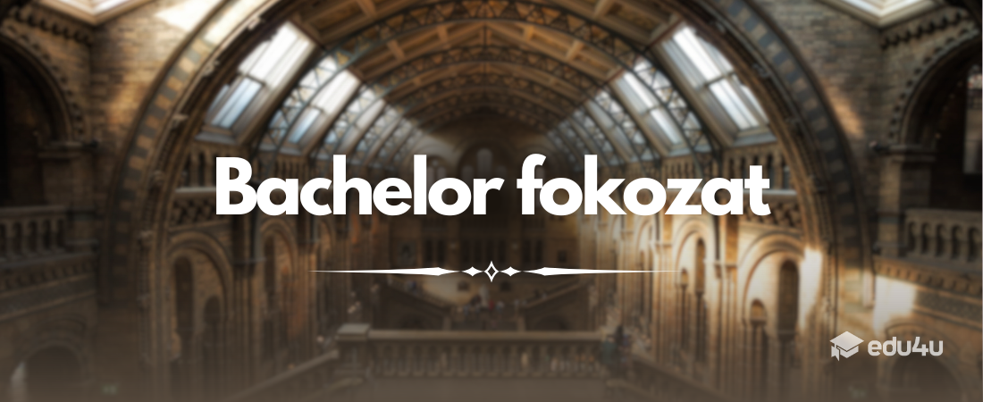 Bachelor fokozat